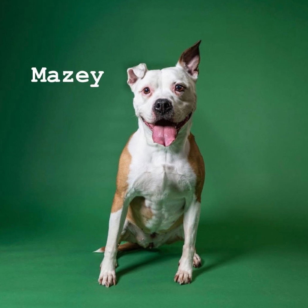 Mazey