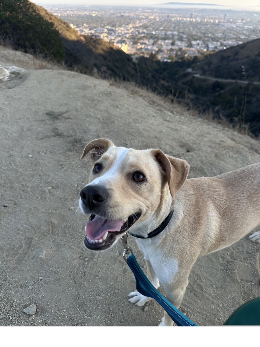 Milo