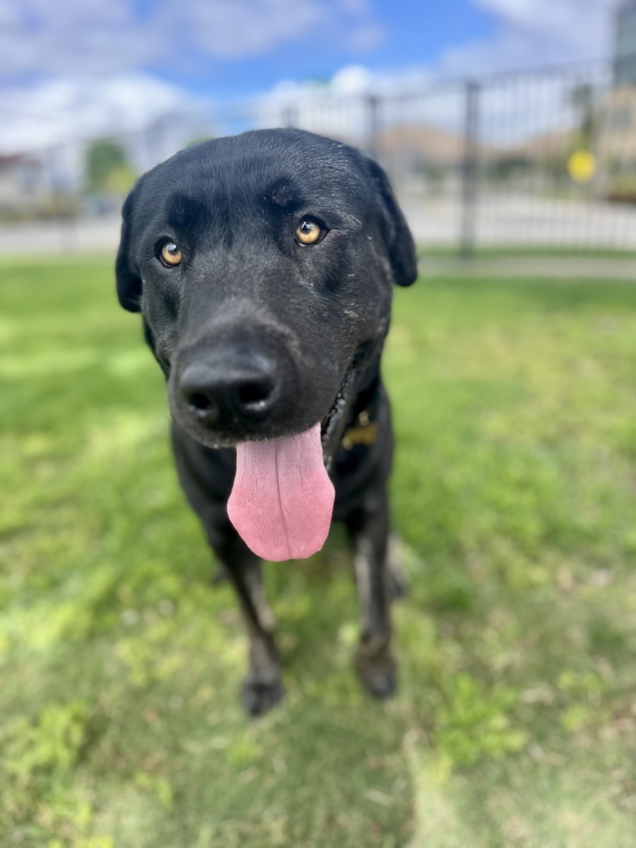 Murphy
