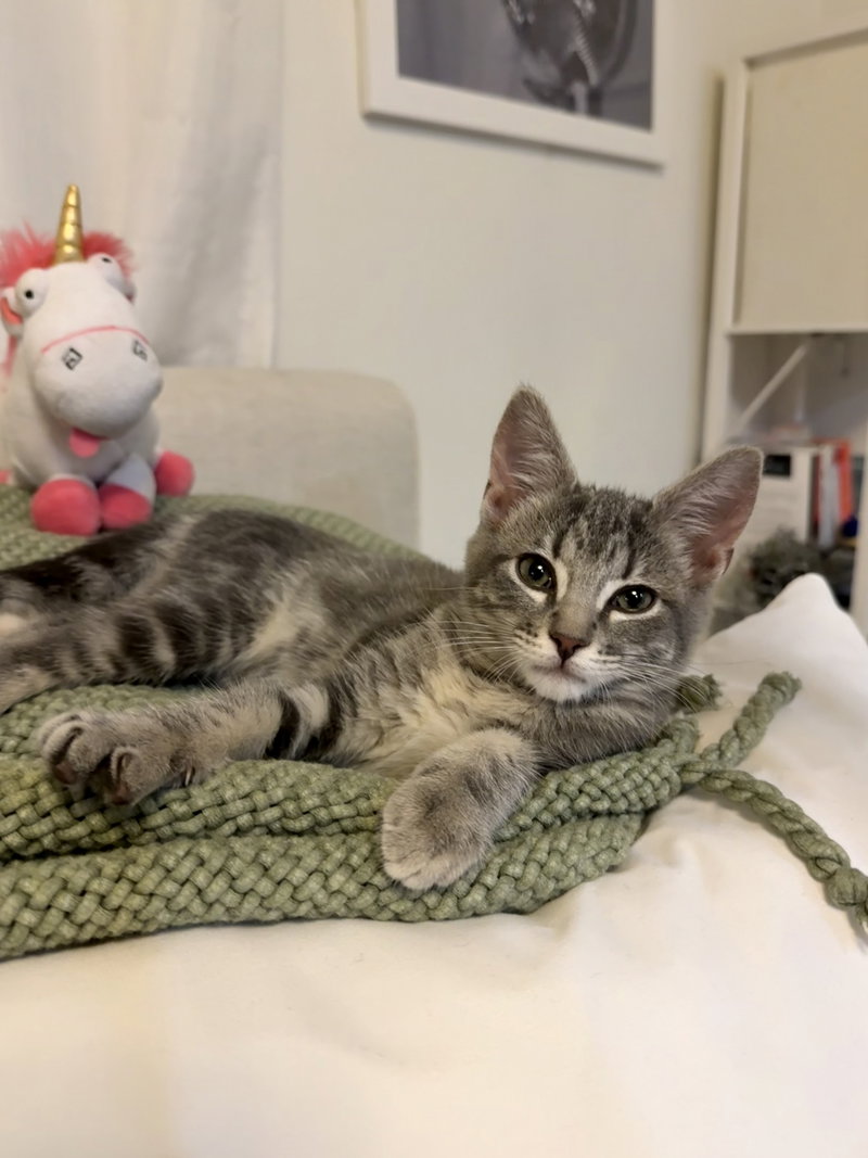 Princess Donut, photo 2