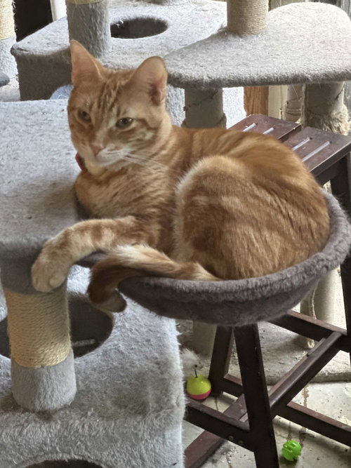 Photo 3 of Butterfinger