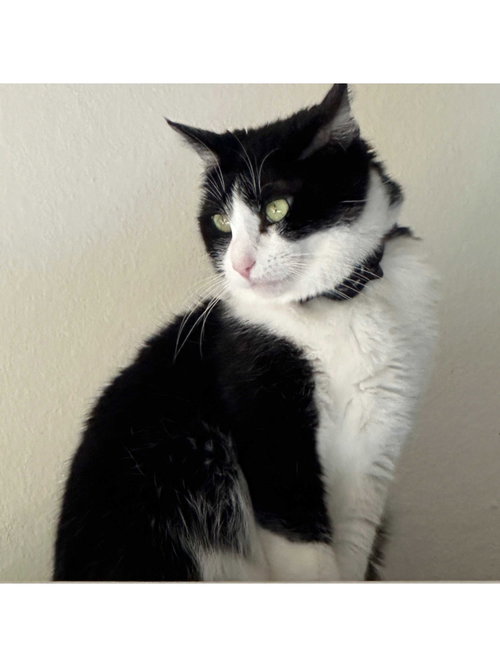 Photo 2 of Mariah Purry