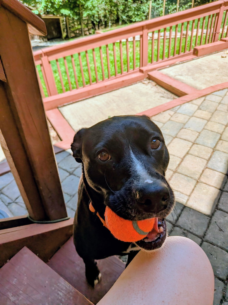 Mocha