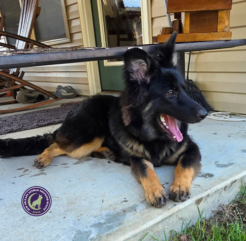 Photo 2 of Nova