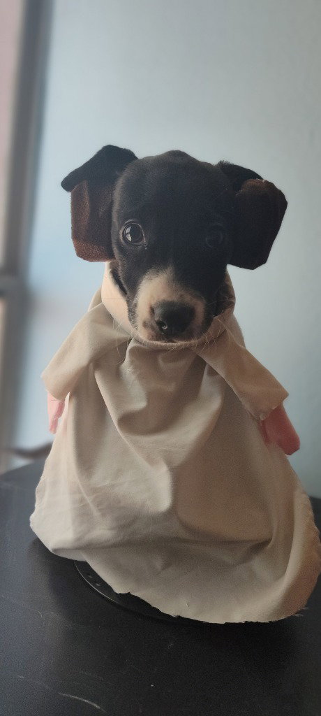 Leia Skybarker photo 2
