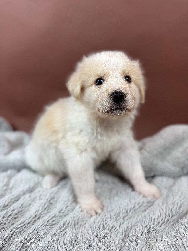 Cocoa, photo 4