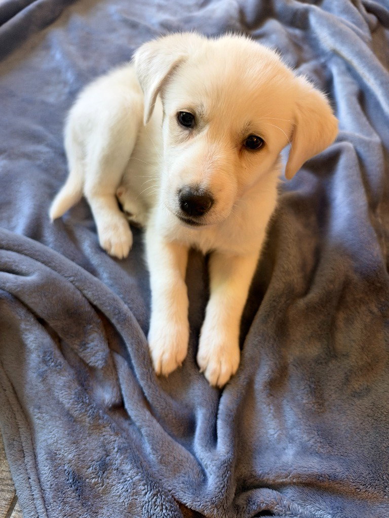Cuddle, photo 2