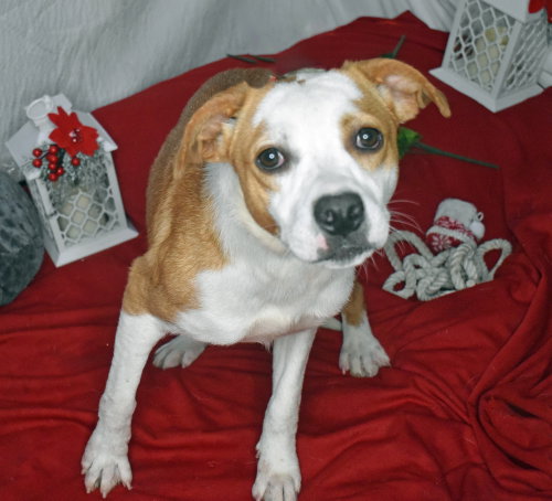 Photo 2 of Dorothy