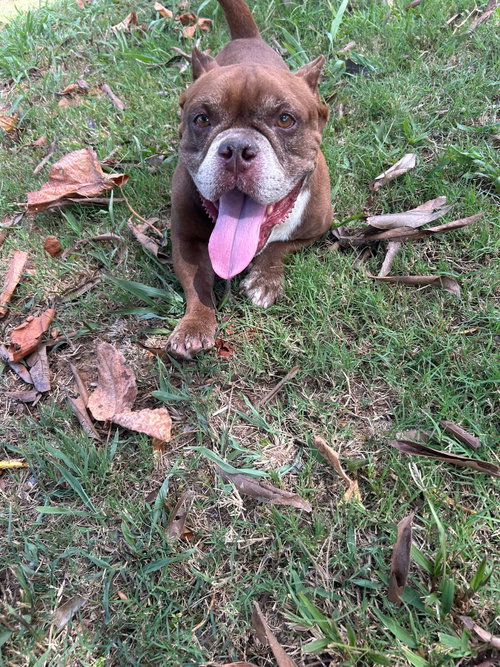 Charlie photo 3