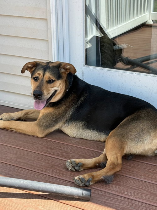 Macy photo 3
