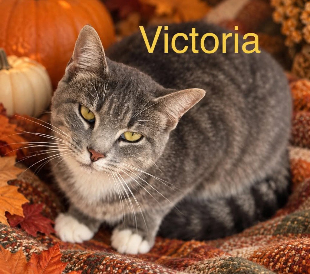 victoria