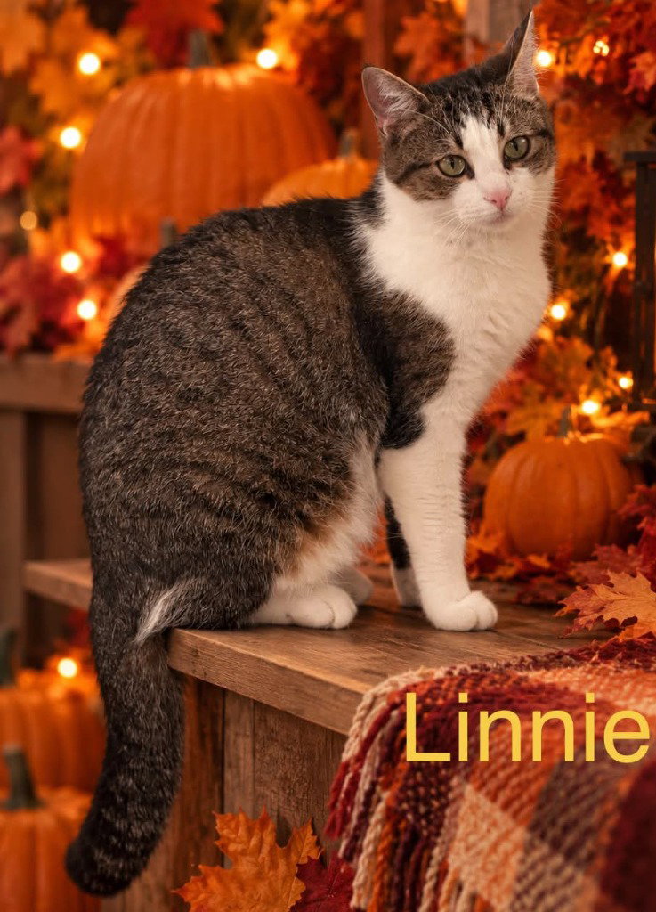 linnie