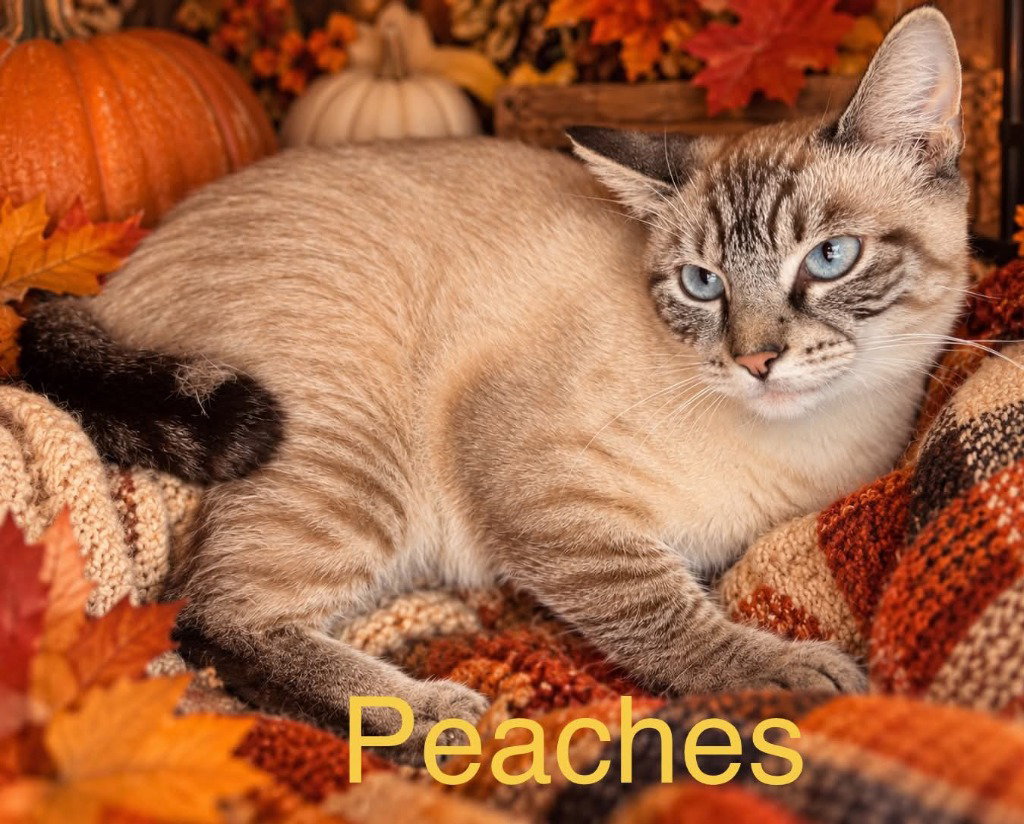 peaches