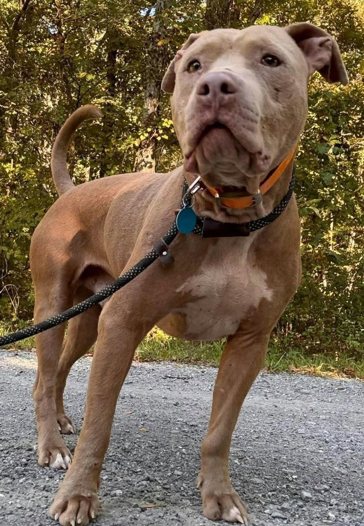 Ernie, photo 2