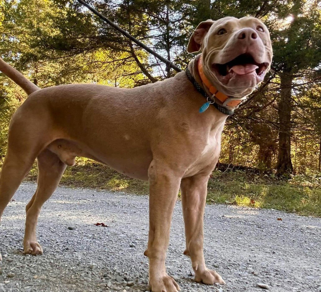 Ernie, photo 3