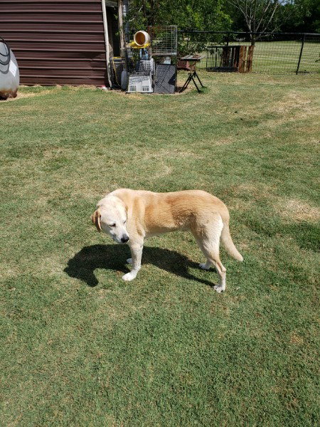 Photo 2 of Doug