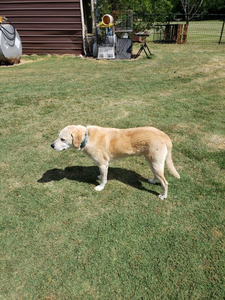 Photo 3 of Doug
