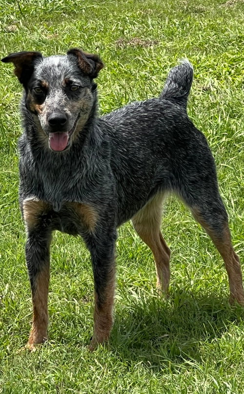 Photo 2 of Orphan Annie