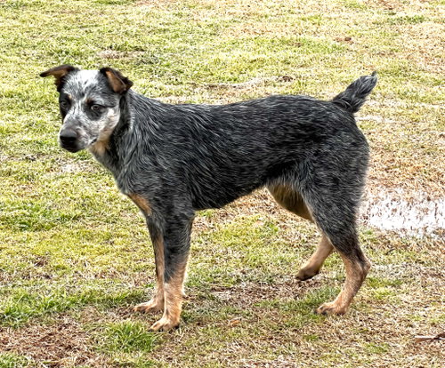 Photo 4 of Orphan Annie