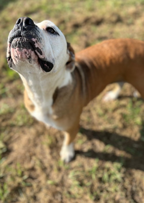Photo 2 of Ruby Monday