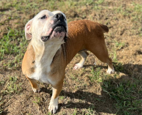 Photo 3 of Ruby Monday