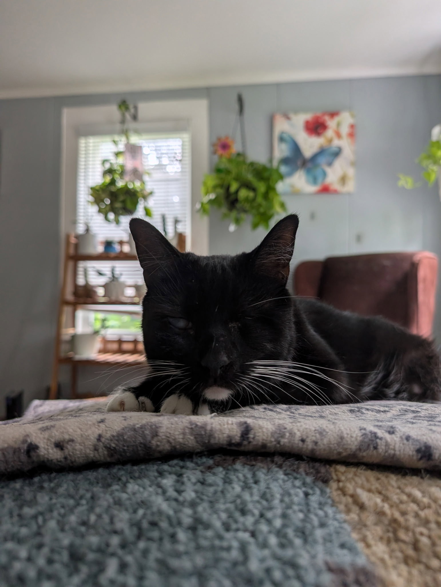 Eartha Kitty, photo 4