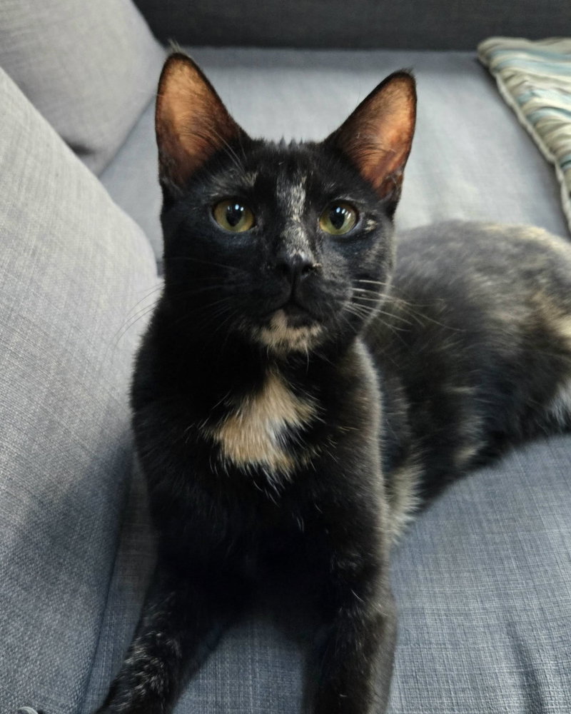 Trudy, photo 3