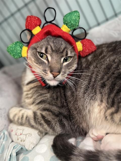 MILO