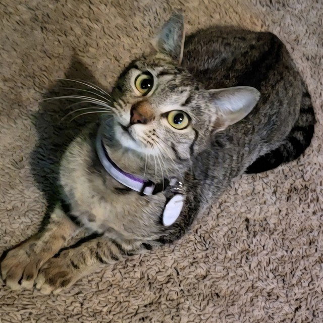 PRINCESS PEANUT