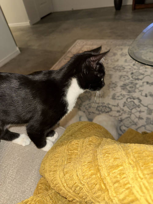 Photo 2 of Luna