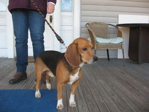 Oakley