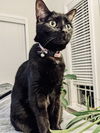 Matilda