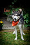 Drax
