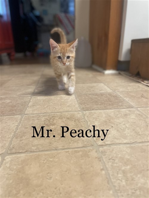 Mr. Peachy