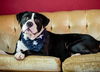 Axle