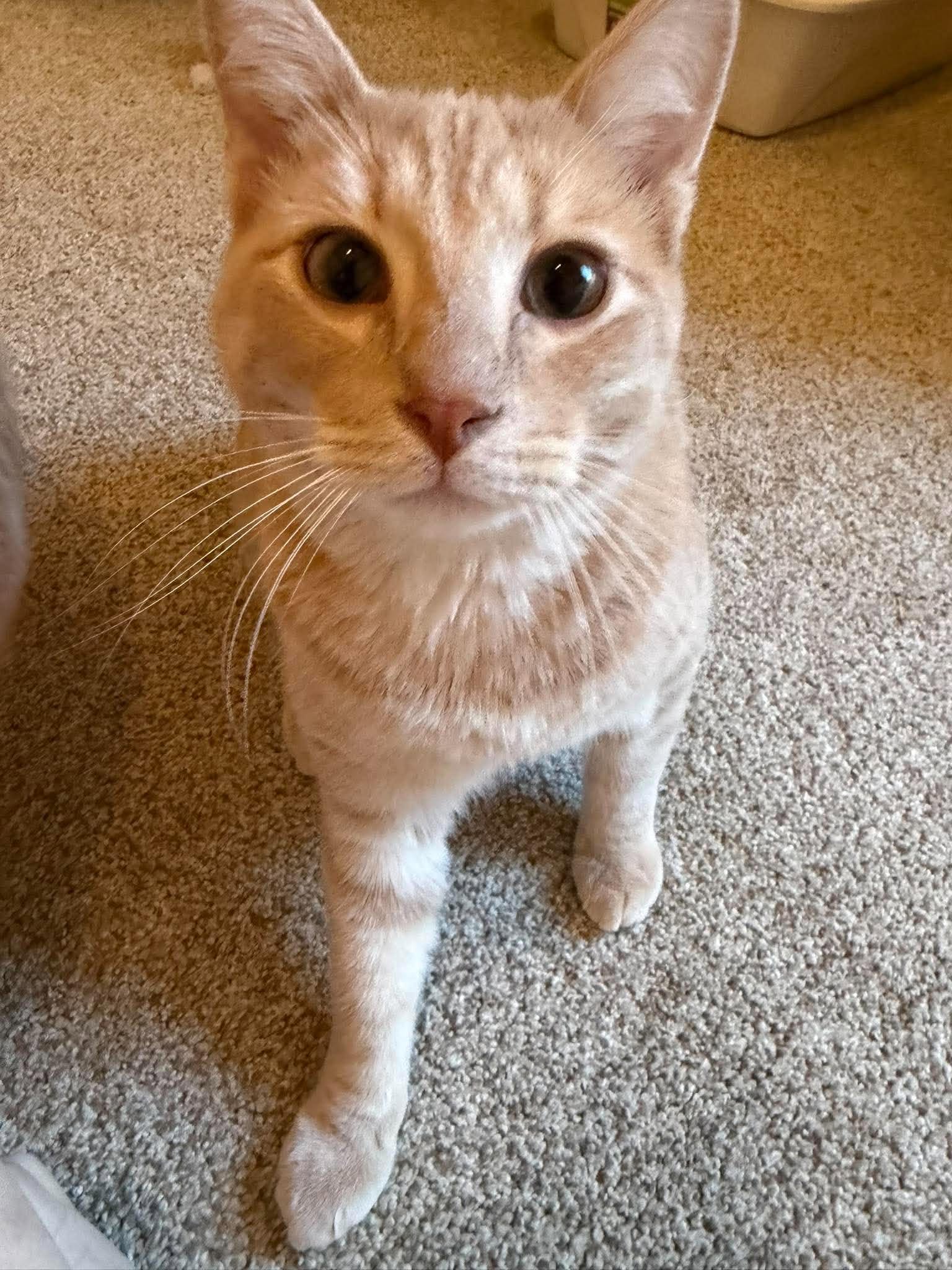 Charlie