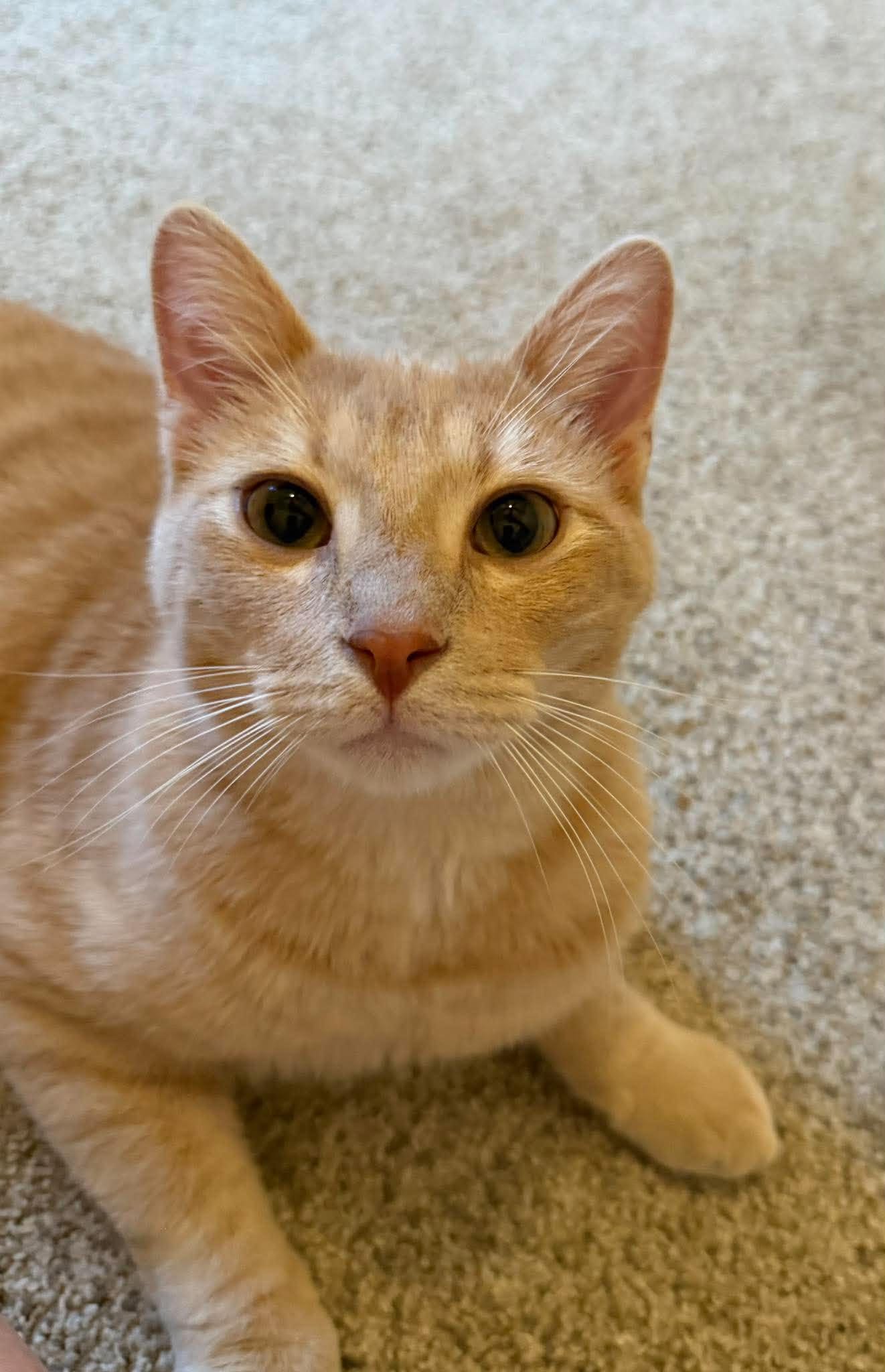 Charlie, photo 3