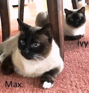 Ivy and Max