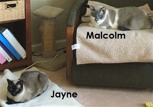 Jayne & Malcolm