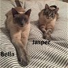 Jasper & Bella