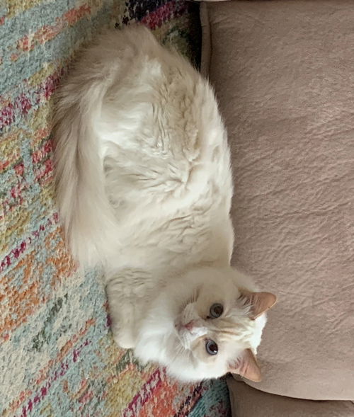 Sophie
