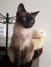 Chloe