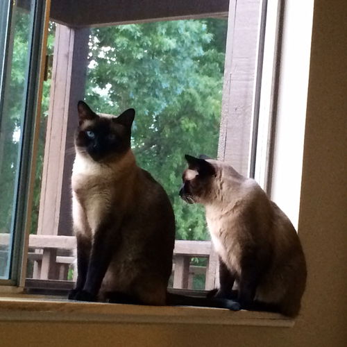 Simon & Zoe