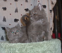 Mindy and Mandy