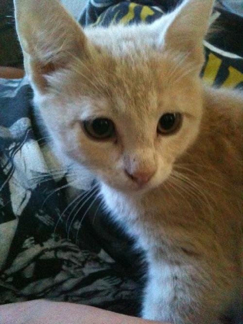 Sonny
