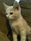 Sonny