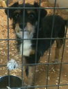 Lucy