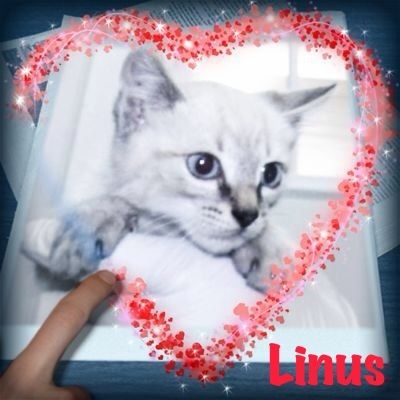 Linus