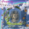 Francie