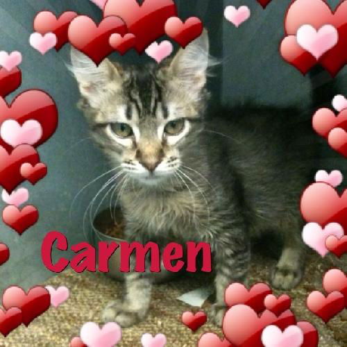 Carmen